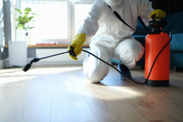 Reliable Sewage Cleanup contractor in Ringoes, NJ by Trauma Clean Pros